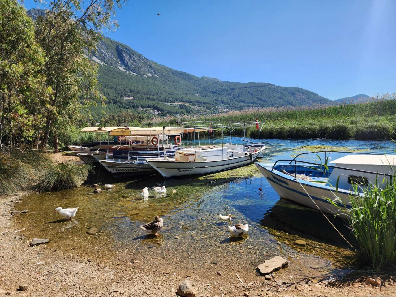 Akyaka’nın Ünlü Azmak Nehri’nde İnsan Kaçakçılığı, Balıkçı Tekneleriyle Taşıdılar 2